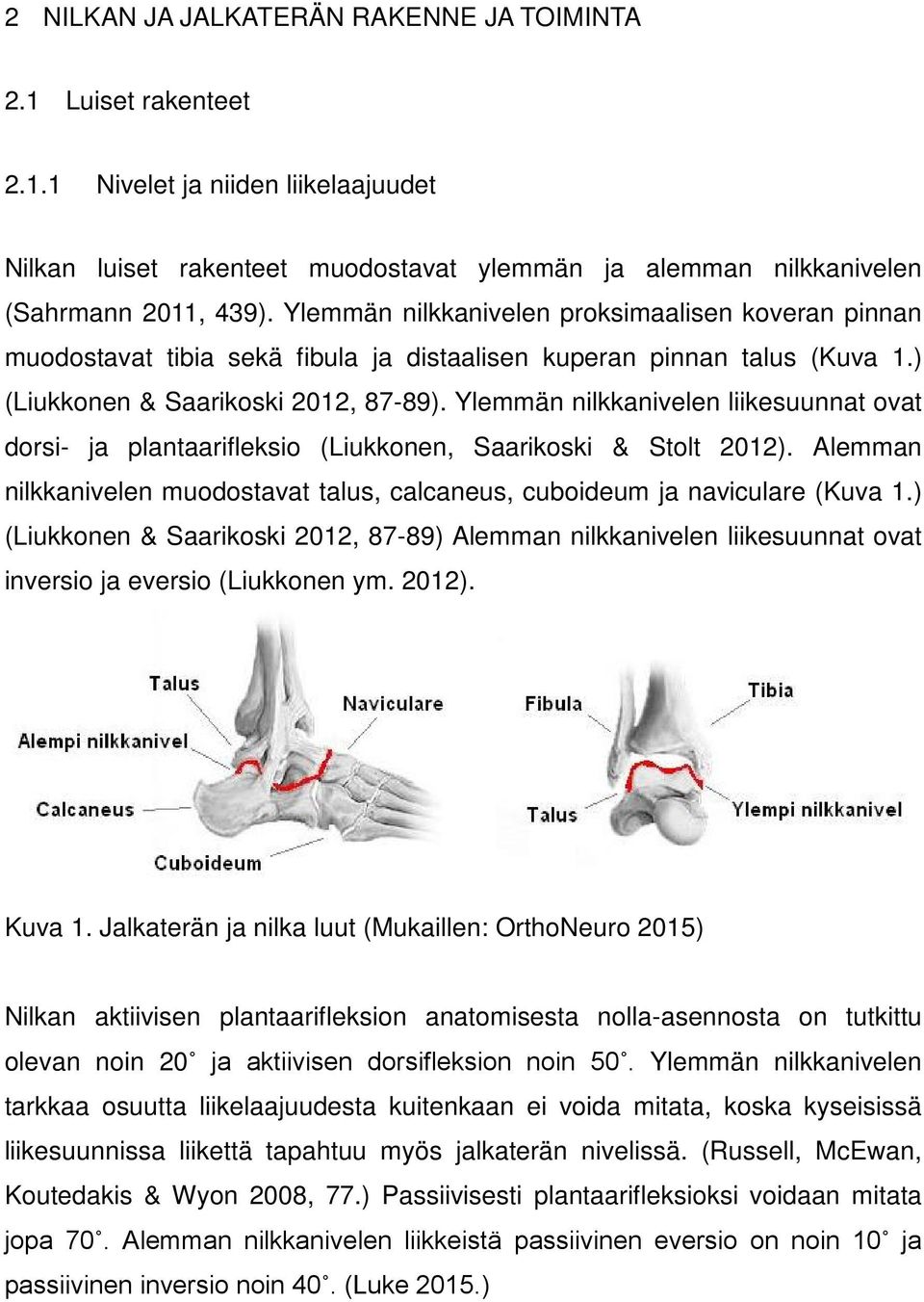 Ylemmän nilkkanivelen liikesuunnat ovat dorsi- ja plantaarifleksio (Liukkonen, Saarikoski & Stolt 2012). Alemman nilkkanivelen muodostavat talus, calcaneus, cuboideum ja naviculare (Kuva 1.