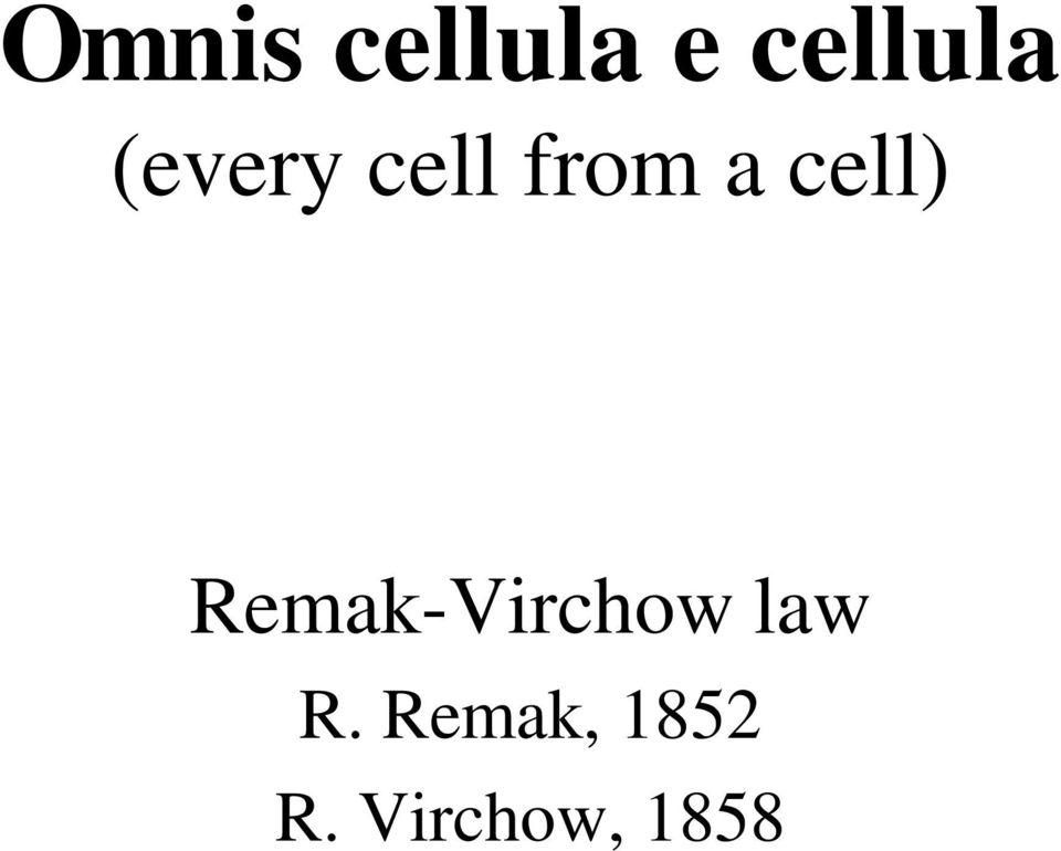 Remak-Virchow law R.