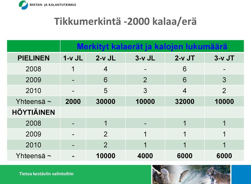 3 2010-5 3 4 2 Yhteensä ~ 2000 30000 10000 32000 10000 HÖYTIÄINEN