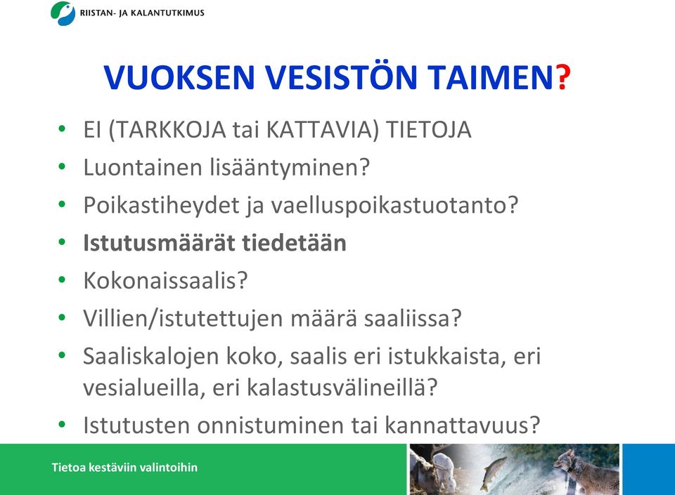 Poikastiheydet ja vaelluspoikastuotanto? Istutusmäärät tiedetään Kokonaissaalis?