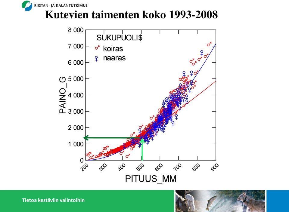 koiras naaras 5 000 4 000 3 000 2 000 1