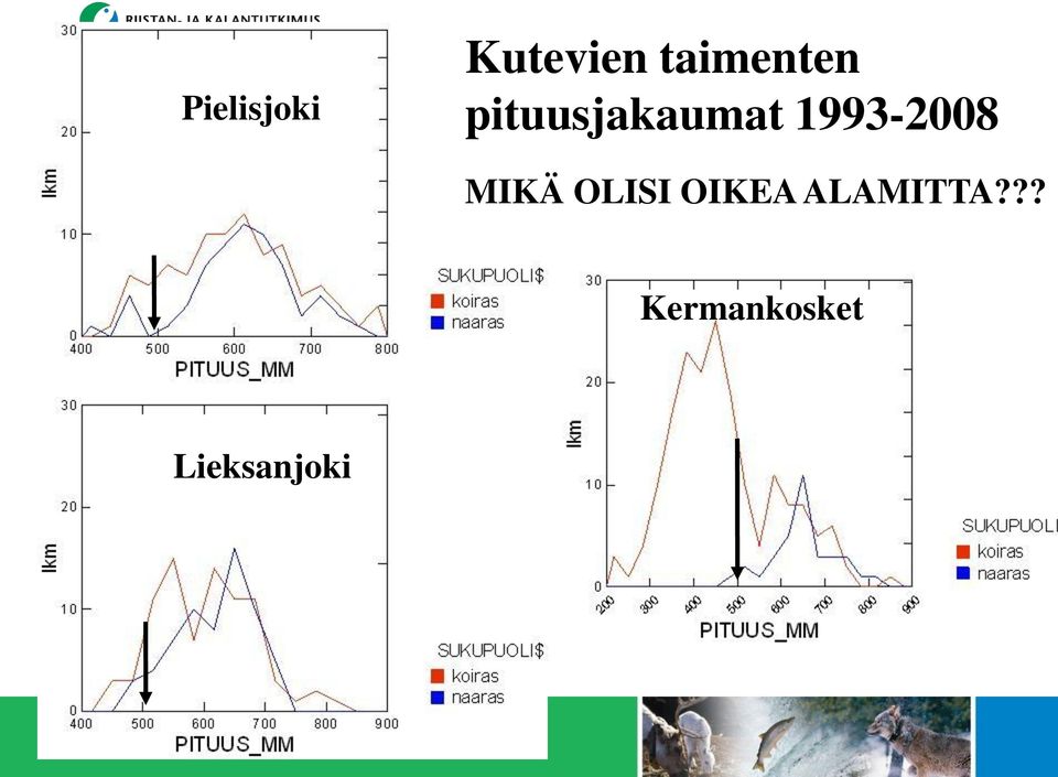 1993-2008 MIKÄ OLISI OIKEA