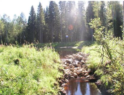 Pohjapadot, kosteikot ja vesiensuojelurakenteet ojituksessa Pohjapatojen ja