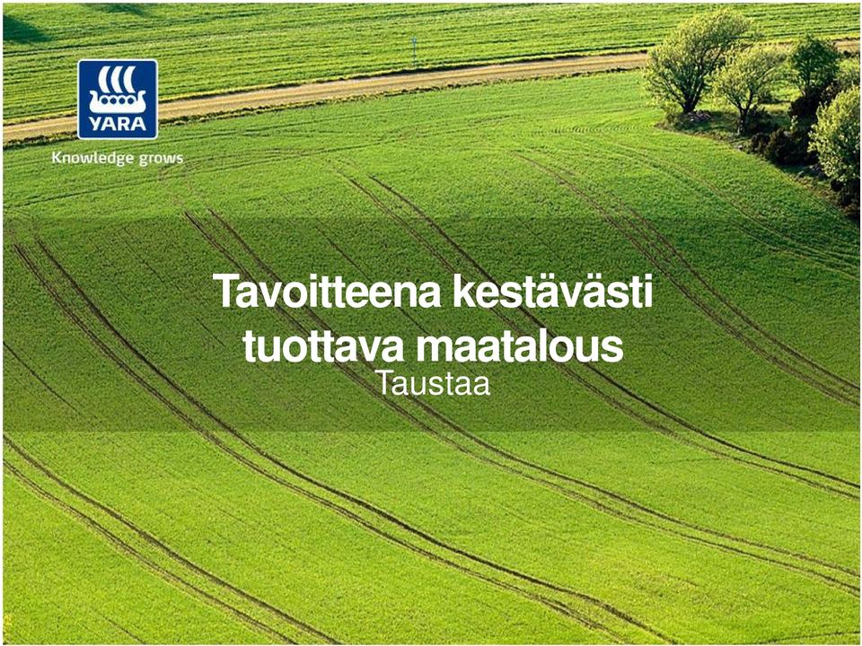 tuottava