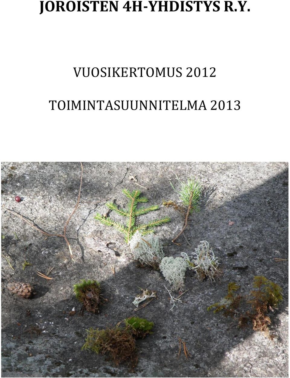 VUOSIKERTOMUS