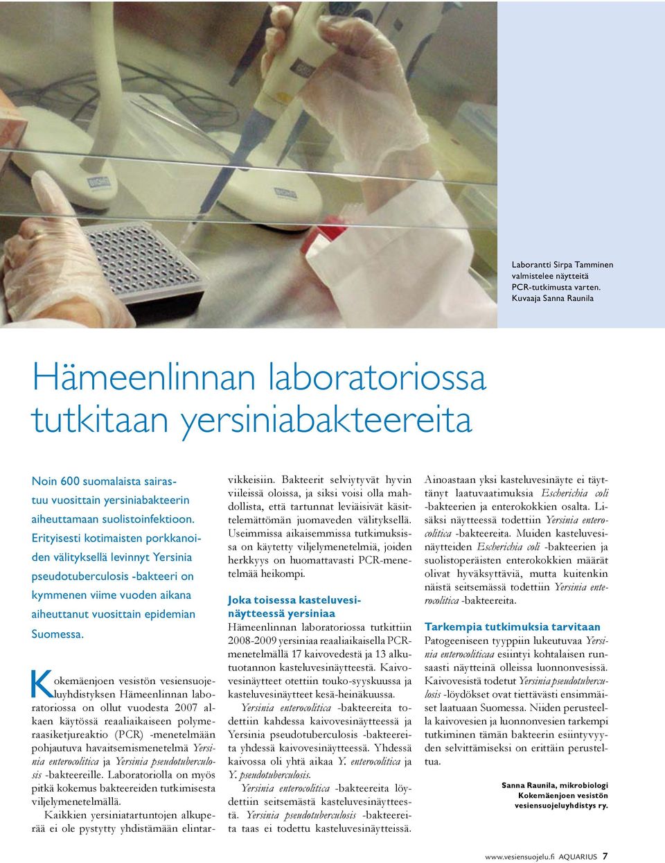 Erityisesti kotimaisten porkkanoiden välityksellä levinnyt Yersinia pseudotuberculosis -bakteeri on kymmenen viime vuoden aikana aiheuttanut vuosittain epidemian Suomessa.