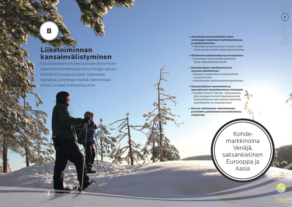 Alueellisten ja temaattisten yritysverkostojen tukeminen tuotteistamisessa ja markkinoinnissa edistetään ja edesautetaan yritysten kykyä tehdä kansainvälistä matkailuliiketoimintaa linkeinon