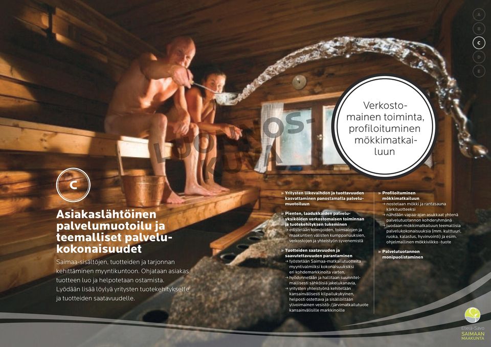 Yritysten liikevaihdon ja tuottavuuden kasvattaminen panostamalla palvelumuotoiluun Pienten, laadukkaiden palveluyksiköiden verkostomaisen toiminnan ja tuotekehityksen tukeminen edistetään