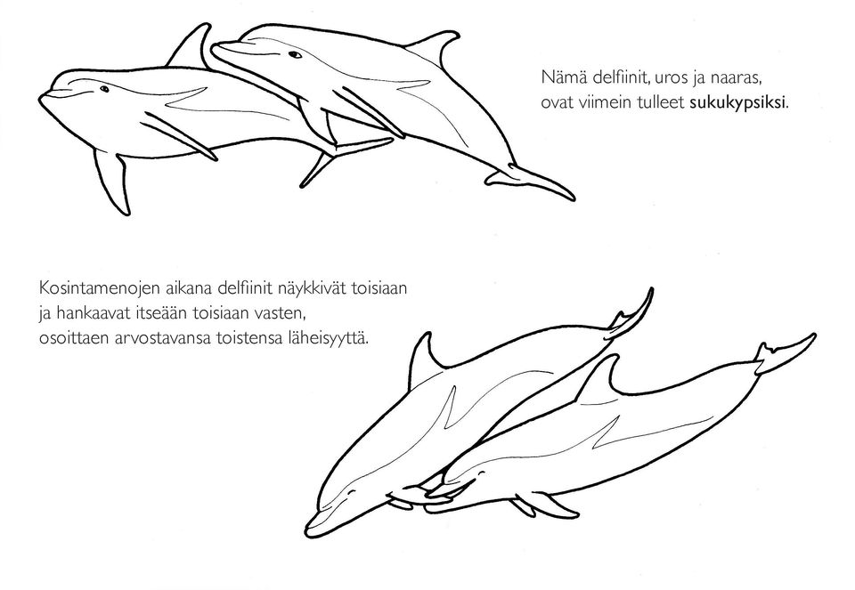 arvostavansa toistensa läheisyyttä.