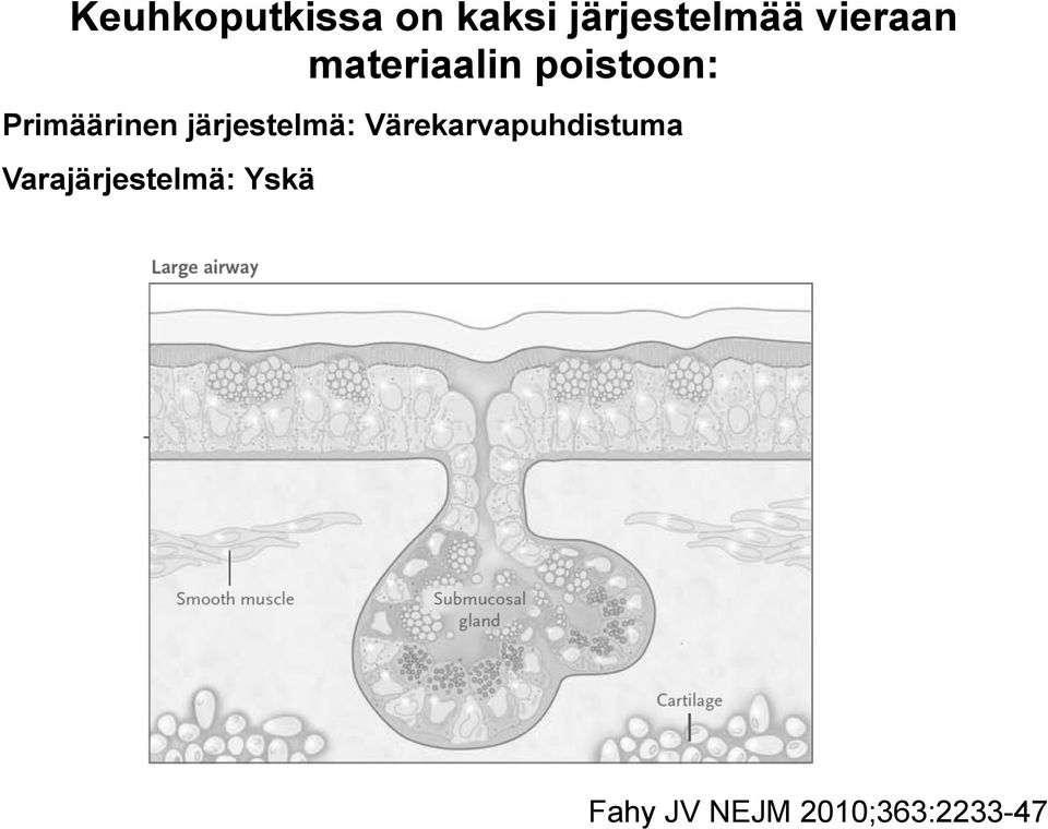 Primäärinen järjestelmä: