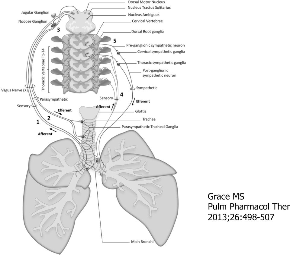 Pharmacol