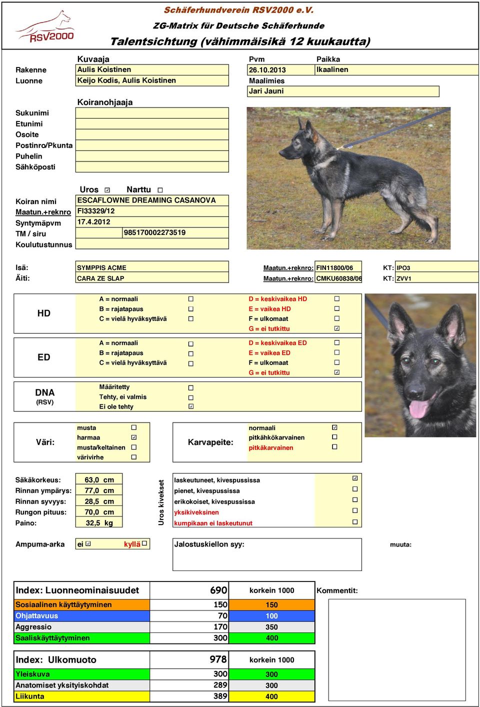 +reknro Syntymäpvm TM / siru Koulutustunnus Schäferhundverein RSV2000 e.v. ZG-Matrix für Deutsche Schäferhunde Talentsichtung (vähimmäisikä 2 kuukautta) Uros Narttu ESCAFLOWNE DREAMING CASANOVA FI29/2 7.