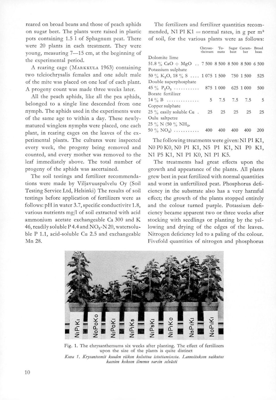 A rearing cage (MARKKULA 1963) containing two teleiochrysalis females and one adult male of the mite was placed on one leaf of each plant. A progeny count was made three weeks later.