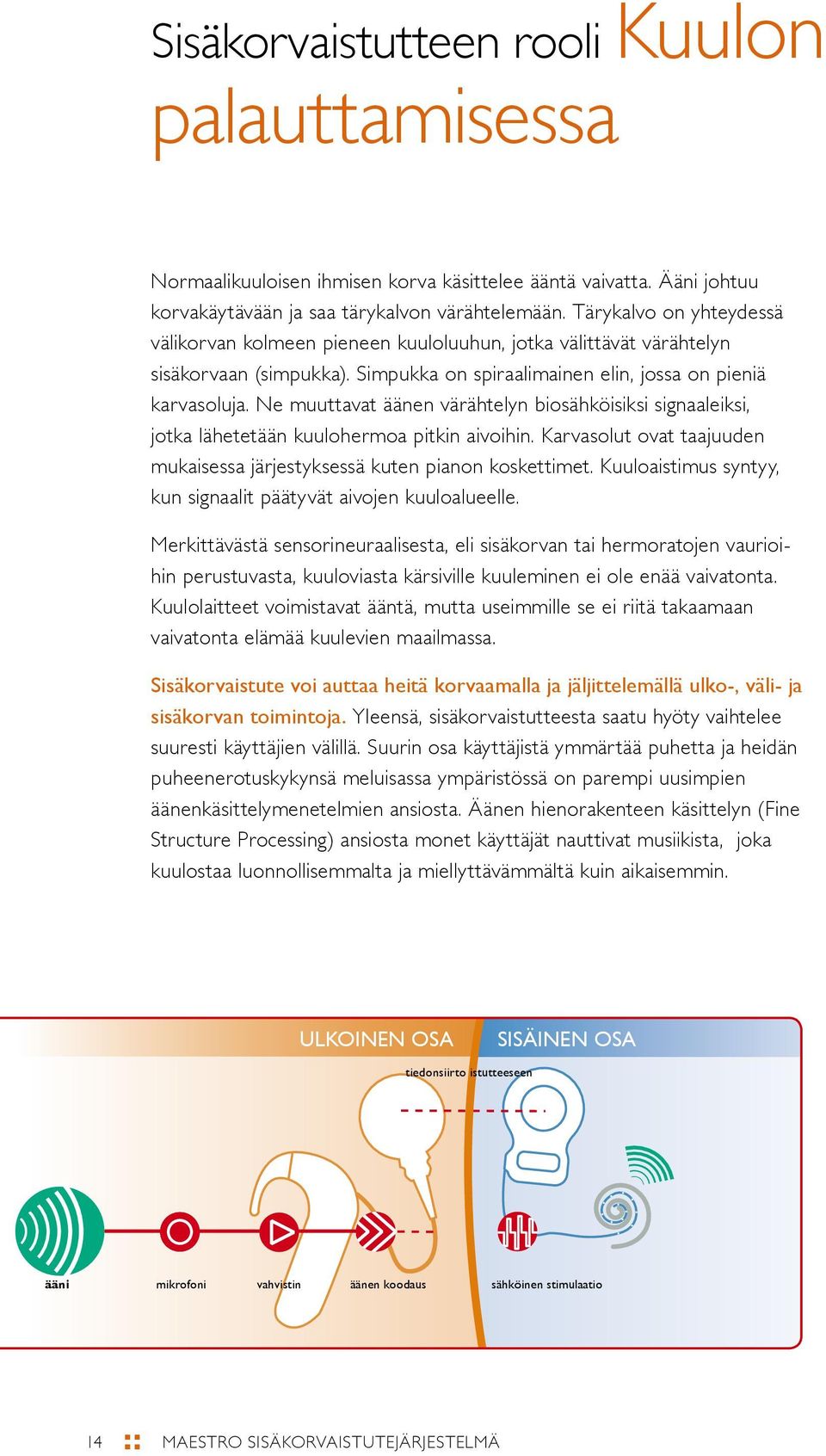 Ne muuttavat äänen värähtelyn biosähköisiksi signaaleiksi, jotka lähetetään kuulohermoa pitkin aivoihin. Karvasolut ovat taajuuden mukaisessa järjestyksessä kuten pianon koskettimet.