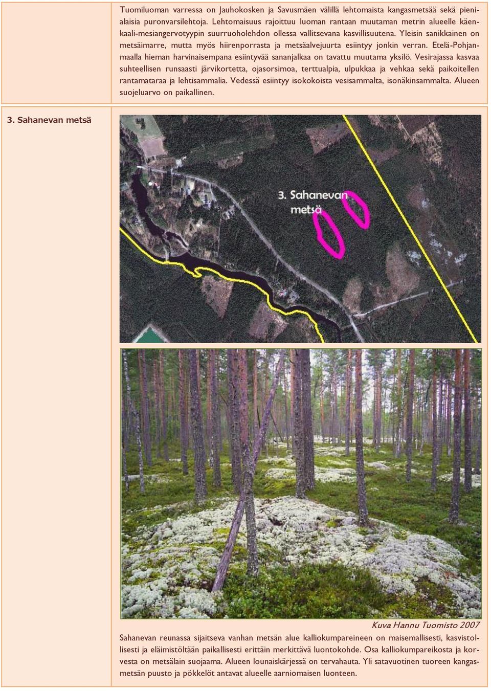 Yleisin sanikkainen on metsäimarre, mutta myös hiirenporrasta ja metsäalvejuurta esiintyy jonkin verran. Etelä-Pohjanmaalla hieman harvinaisempana esiintyvää sananjalkaa on tavattu muutama yksilö.