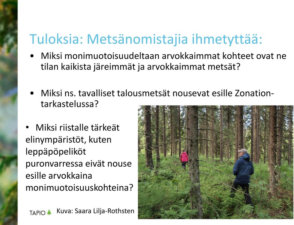 tavalliset talousmetsät nousevat esille Zonationtarkastelussa?