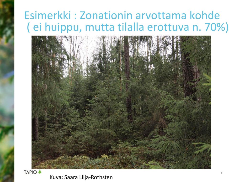 kohde ( ei huippu,