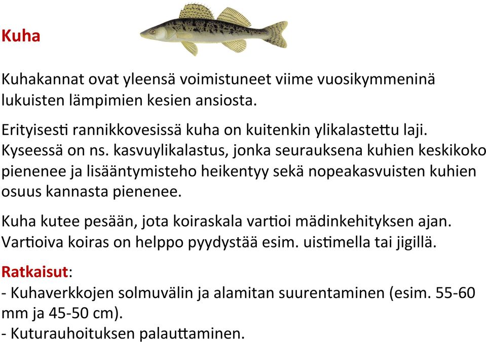 kasvuylikalastus, jonka seurauksena kuhien keskikoko pienenee ja lisääntymisteho heikentyy sekä nopeakasvuisten kuhien osuus kannasta pienenee.