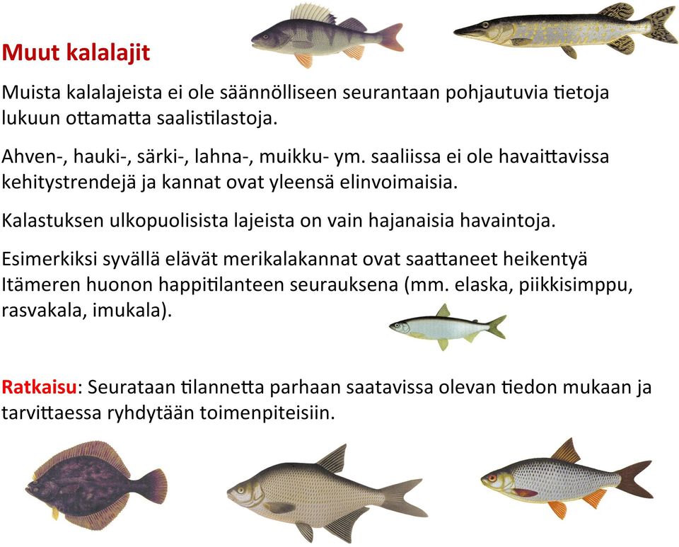 Kalastuksen ulkopuolisista lajeista on vain hajanaisia havaintoja.
