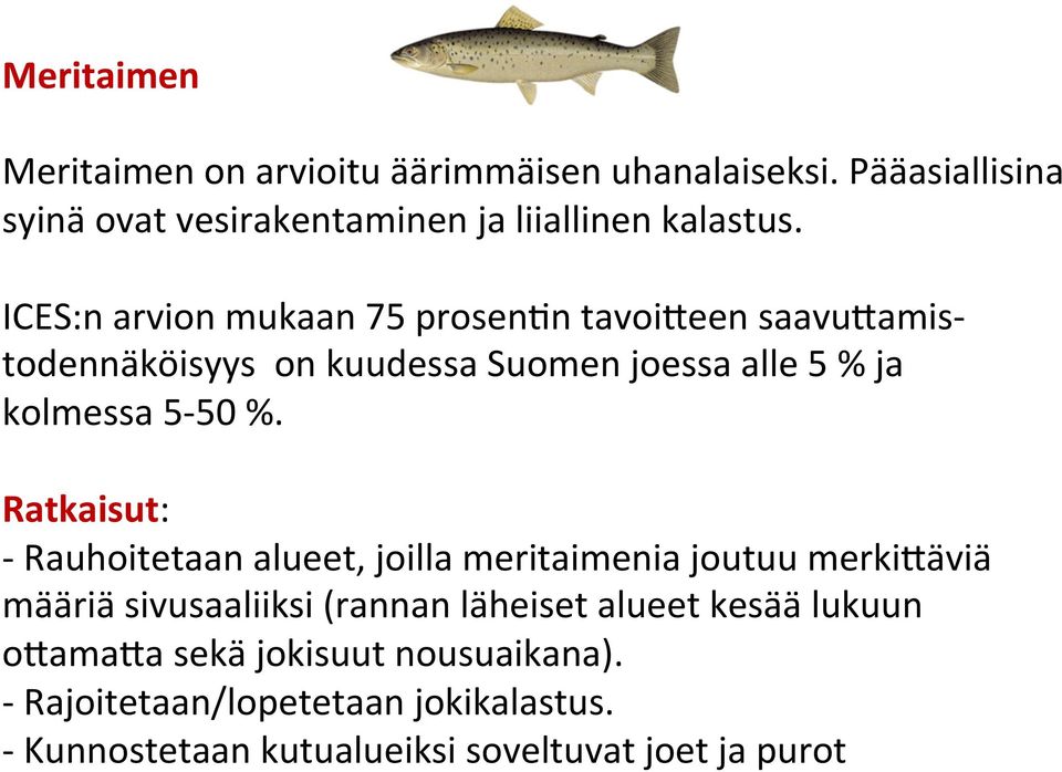 Ratkaisut: - Rauhoitetaan alueet, joilla meritaimenia joutuu merki3äviä määriä sivusaaliiksi (rannan läheiset alueet kesää