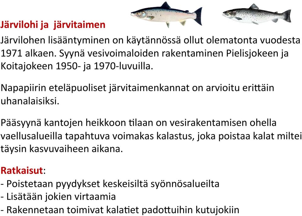 Napapiirin eteläpuoliset järvitaimenkannat on arvioitu eri3äin uhanalaisiksi.