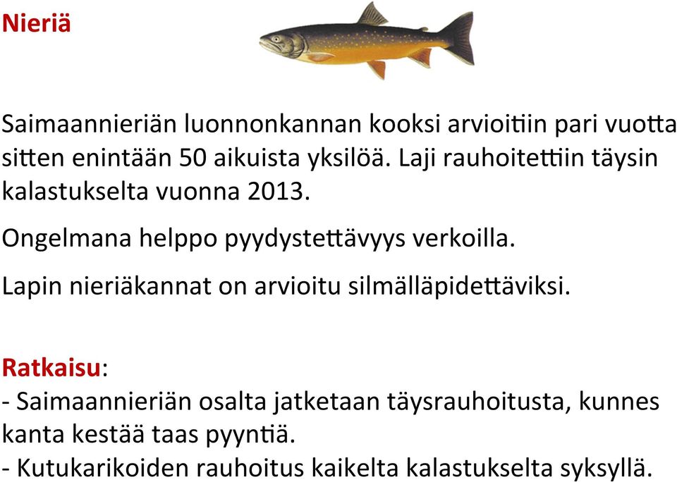 Lapin nieriäkannat on arvioitu silmälläpide3äviksi.