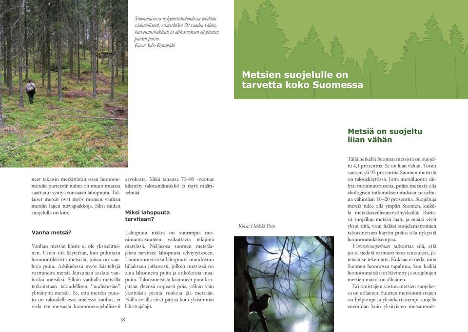 runsaasti lahopuuta. Tällaiset metsät ovat myös monien vanhan metsän lajien turvapaikkoja. Siksi niiden suojelulla on kiire. Vanha metsä? Vanhan metsän käsite ei ole yksiselitteinen.