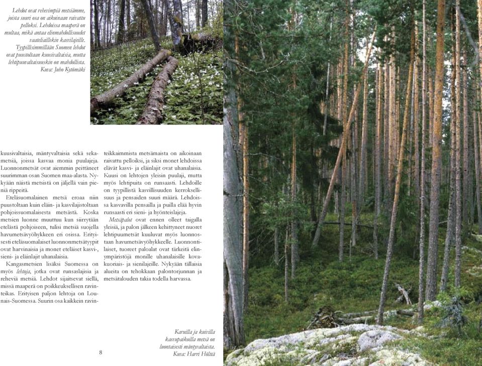 Kuva: Juho Kytömäki kuusivaltaisia, mäntyvaltaisia sekä sekametsiä, joissa kasvaa monia puulajeja. Luonnonmetsät ovat aiemmin peittäneet suurimman osan Suomen maa-alasta.