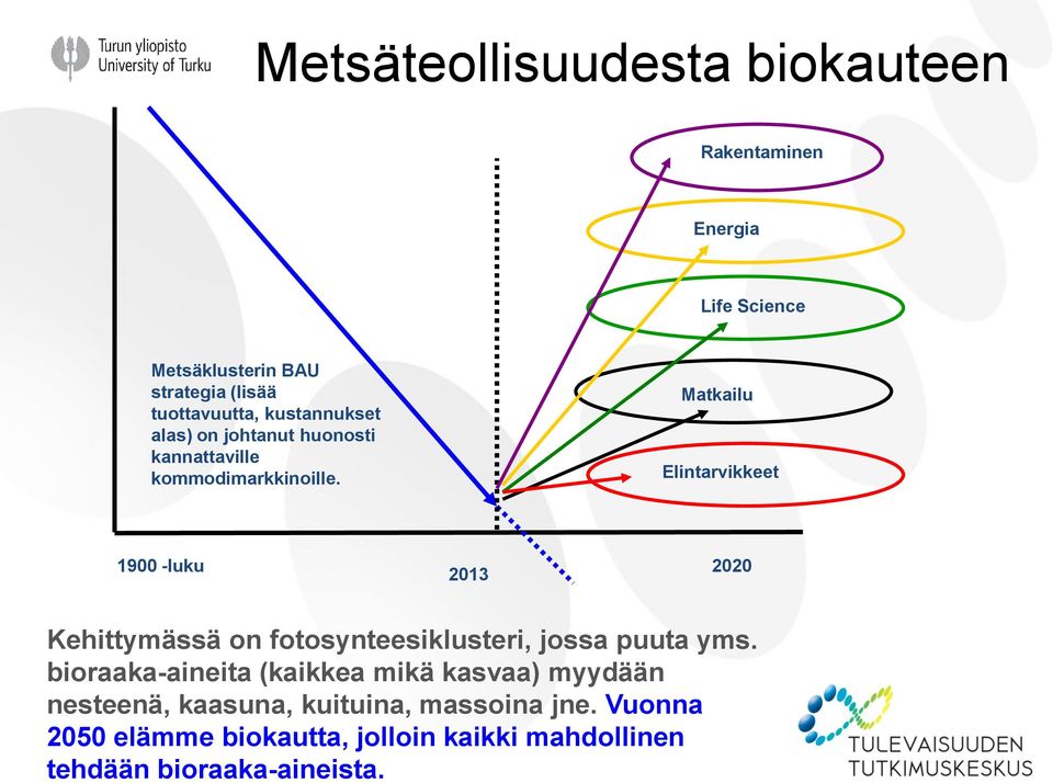 Matkailu Elintarvikkeet 1900 -luku 2013 2020 Kehittymässä on fotosynteesiklusteri, jossa puuta yms.