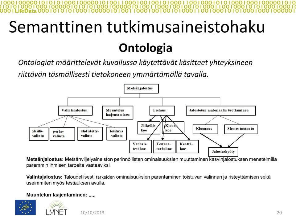 Metsänjalostus: Metsänviljelyaineiston perinnöllisten ominaisuuksien muuttaminen kasvinjalostuksen menetelmillä paremmin ihmisen