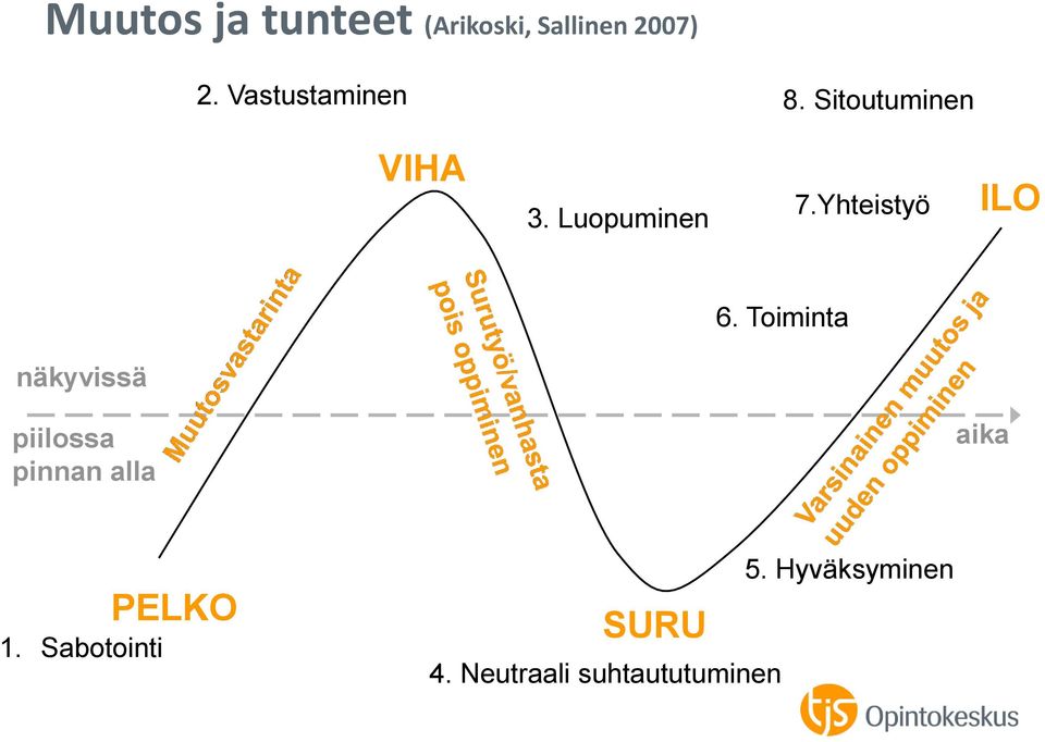 Yhteistyö ILO 6.