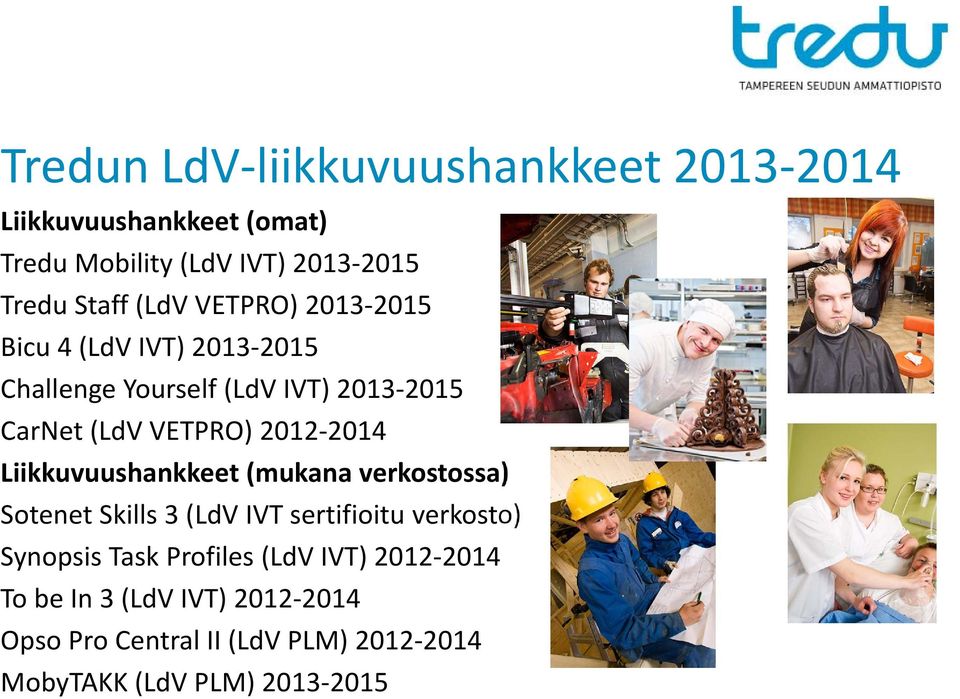 2014 Liikkuvuushankkeet (mukana verkostossa) Sotenet Skills 3 (LdV IVT sertifioitu verkosto) Synopsis Task Profiles