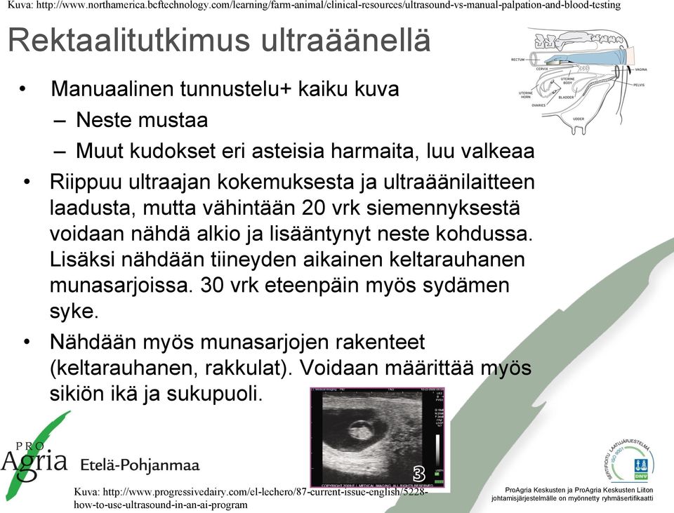 eri asteisia harmaita, luu valkeaa Riippuu ultraajan kokemuksesta ja ultraäänilaitteen laadusta, mutta vähintään 20 vrk siemennyksestä voidaan nähdä alkio ja lisääntynyt neste kohdussa.