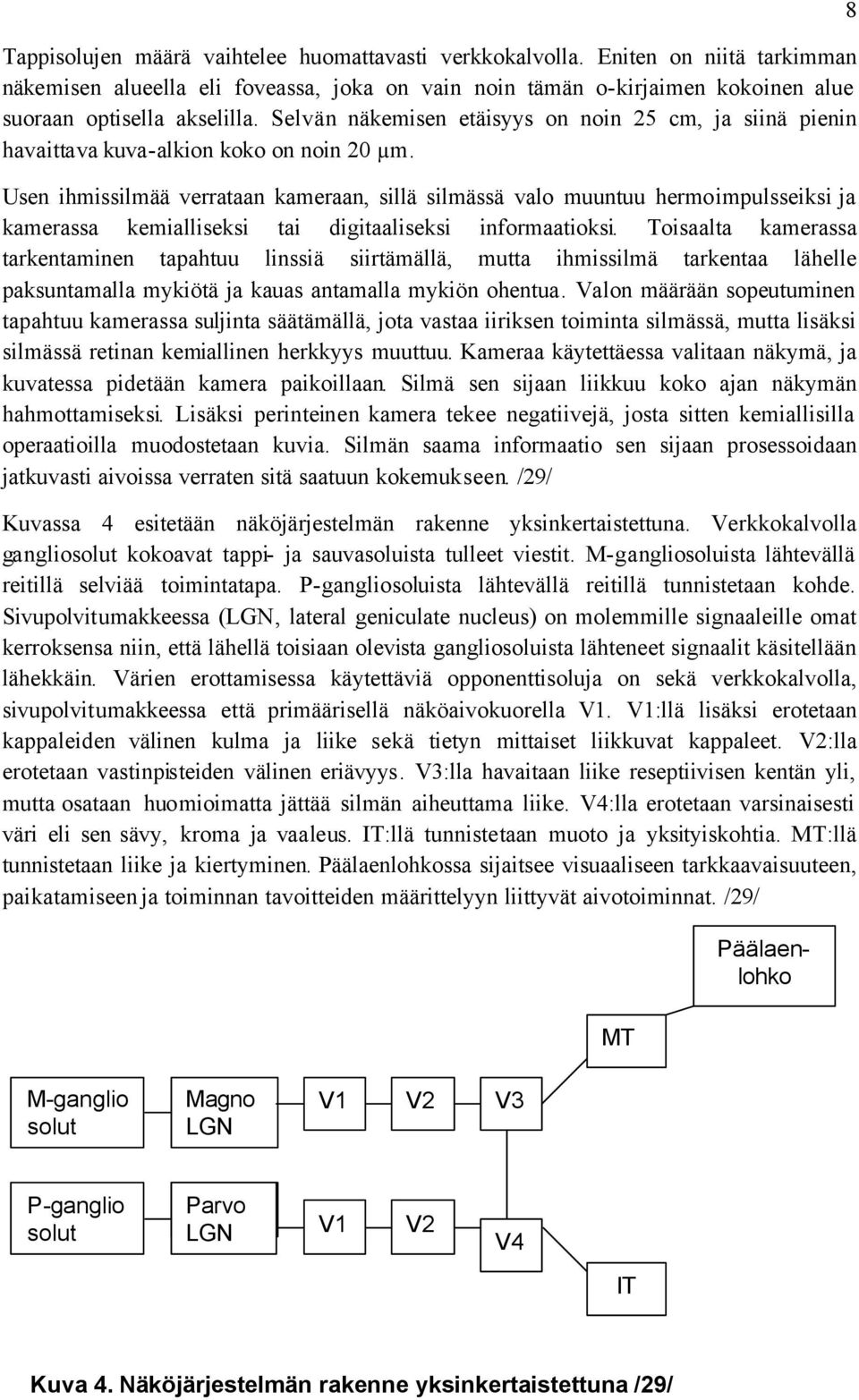 Usen ihmissilmää verrataan kameraan, sillä silmässä valo muuntuu hermoimpulsseiksi ja kamerassa kemialliseksi tai digitaaliseksi informaatioksi.