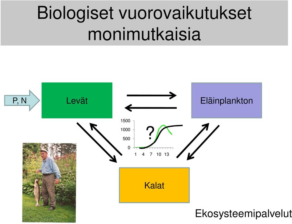 Eläinplankton 15 1 5?