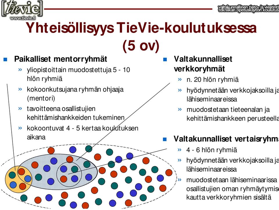 20 hlön ryhmiä» hyödynnetään verkkojaksoilla ja lähiseminaareissa» muodostetaan tieteenalan ja kehittämishankkeen perusteella Valtakunnalliset