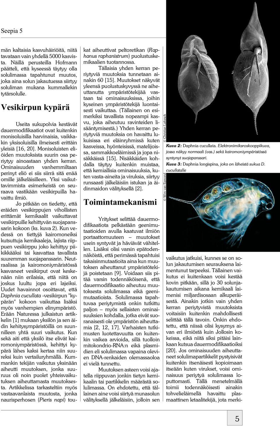 Vesikirpun kypärä Useita sukupolvia kestävät dauermodifikaatiot ovat kuitenkin monisoluisilla harvinaisia, vaikkakin yksisoluisilla ilmeisesti erittäin yleisiä [16, 20].