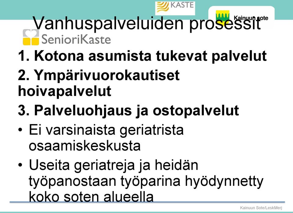 Ympärivuorokautiset hoivapalvelut 3.