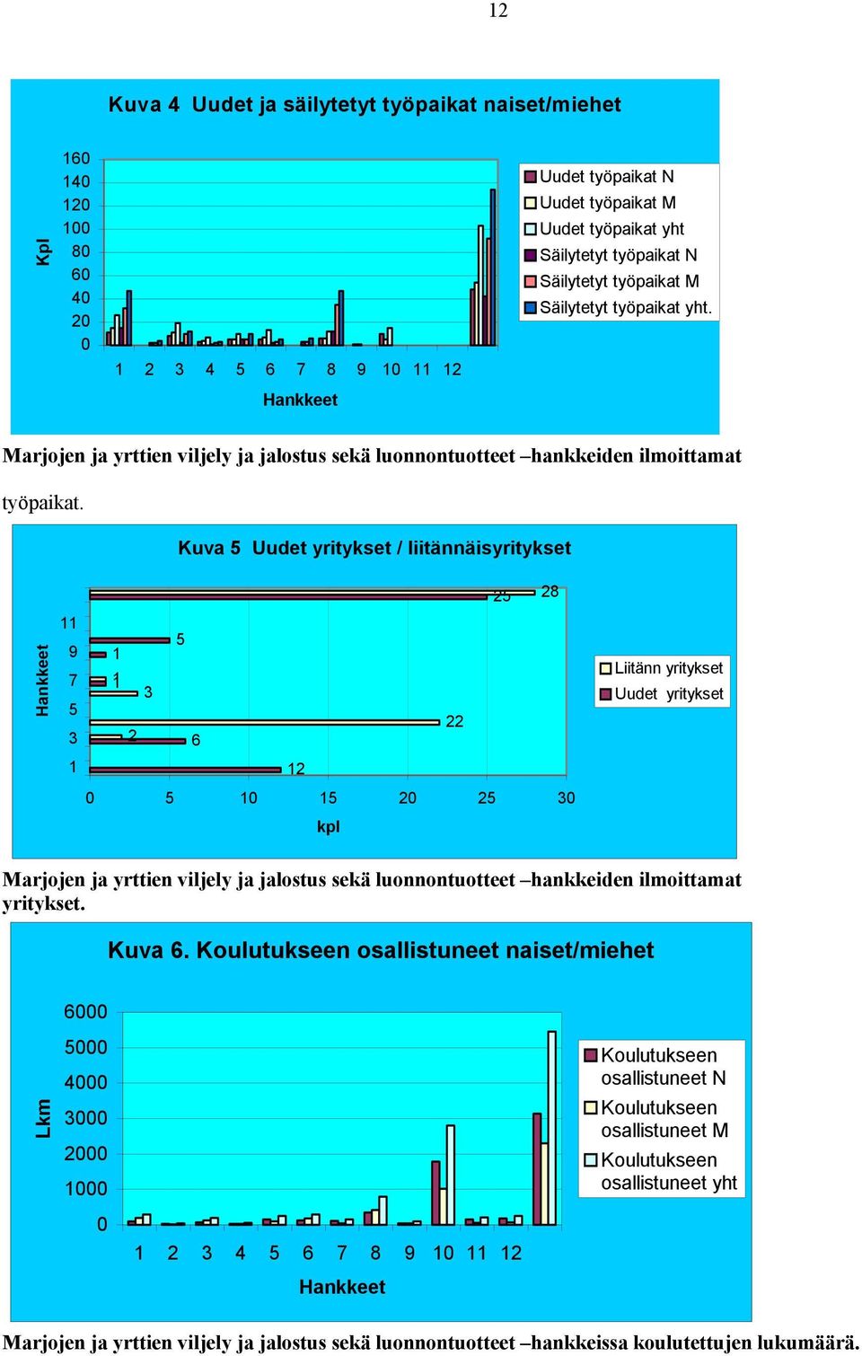 Kuva 5 Uudet yritykset / liitännäisyritykset 25 28 11 9 1 5 7 1 3 5 3 2 6 22 1 12 5 1 15 2 25 3 kpl Liitänn yritykset Uudet yritykset Marjojen ja yrttien viljely ja jalostus sekä luonnontuotteet