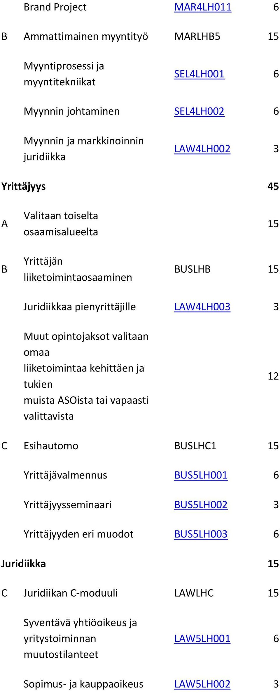 omaa liiketoimintaa kehittäen ja tukien muista ASOista tai vapaasti valittavista 12 C Esihautomo BUSLHC1 15 Yrittäjävalmennus BUS5LH001 6 Yrittäjyysseminaari BUS5LH002 3