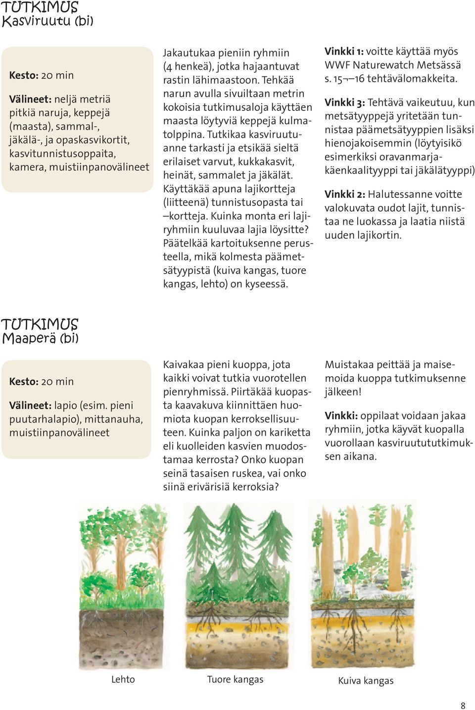 Tutkikaa kasviruutuanne tarkasti ja etsikää sieltä erilaiset varvut, kukkakasvit, heinät, sammalet ja jäkälät. Käyttäkää apuna lajikortteja (liitteenä) tunnistusopasta tai kortteja.