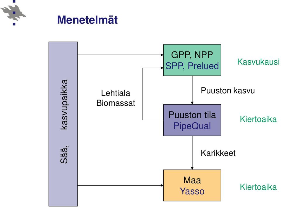 Biomassat Puuston tila PipeQual Puuston