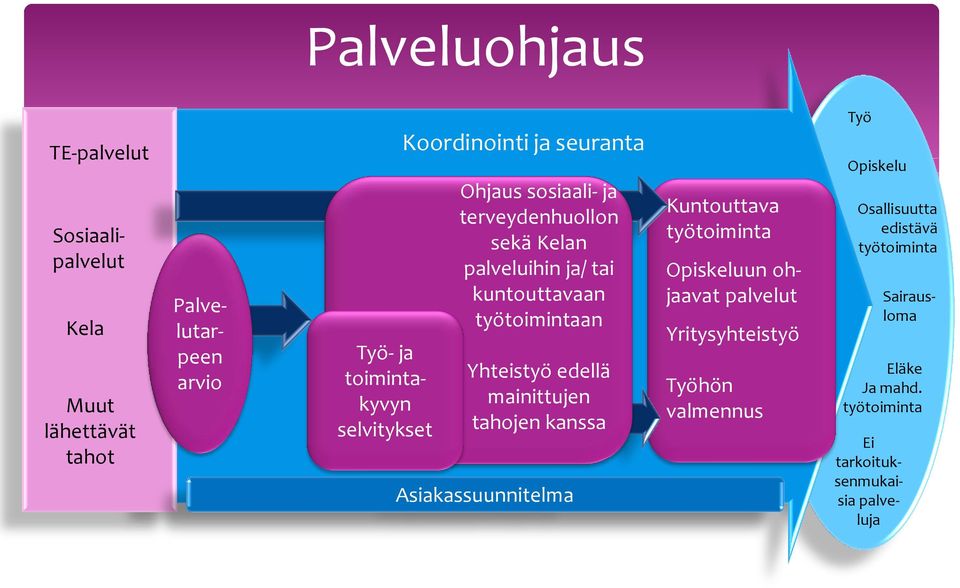 Yhteistyö edellä mainittujen tahojen kanssa Asiakassuunnitelma Kuntouttava työtoiminta Opiskeluun ohjaavat palvelut