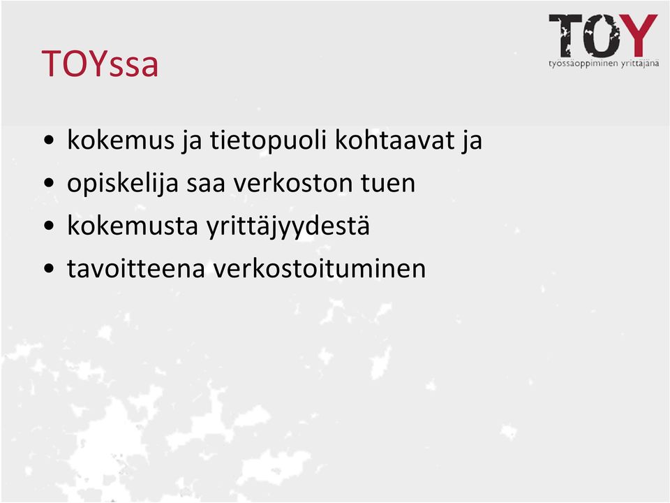 verkoston tuen kokemusta