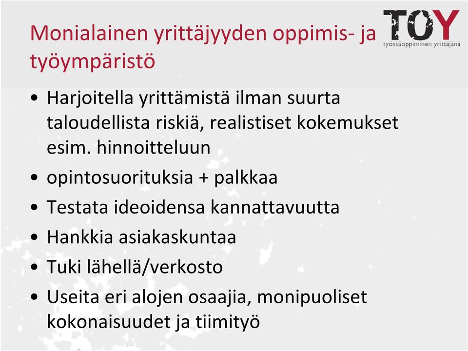 hinnoitteluun opintosuorituksia + palkkaa Testata ideoidensa kannattavuutta