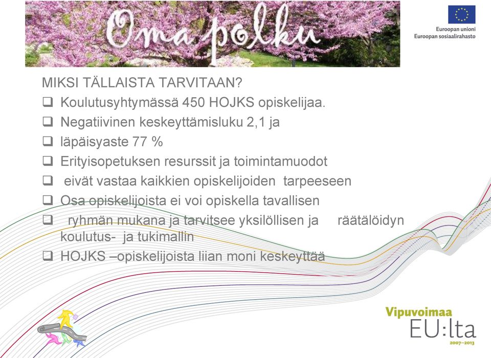 toimintamuodot eivät vastaa kaikkien opiskelijoiden tarpeeseen Osa opiskelijoista ei voi