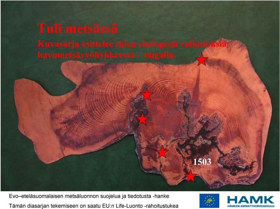 1503 Evo eteläsuomalaisen metsäluonnon suojelua ja