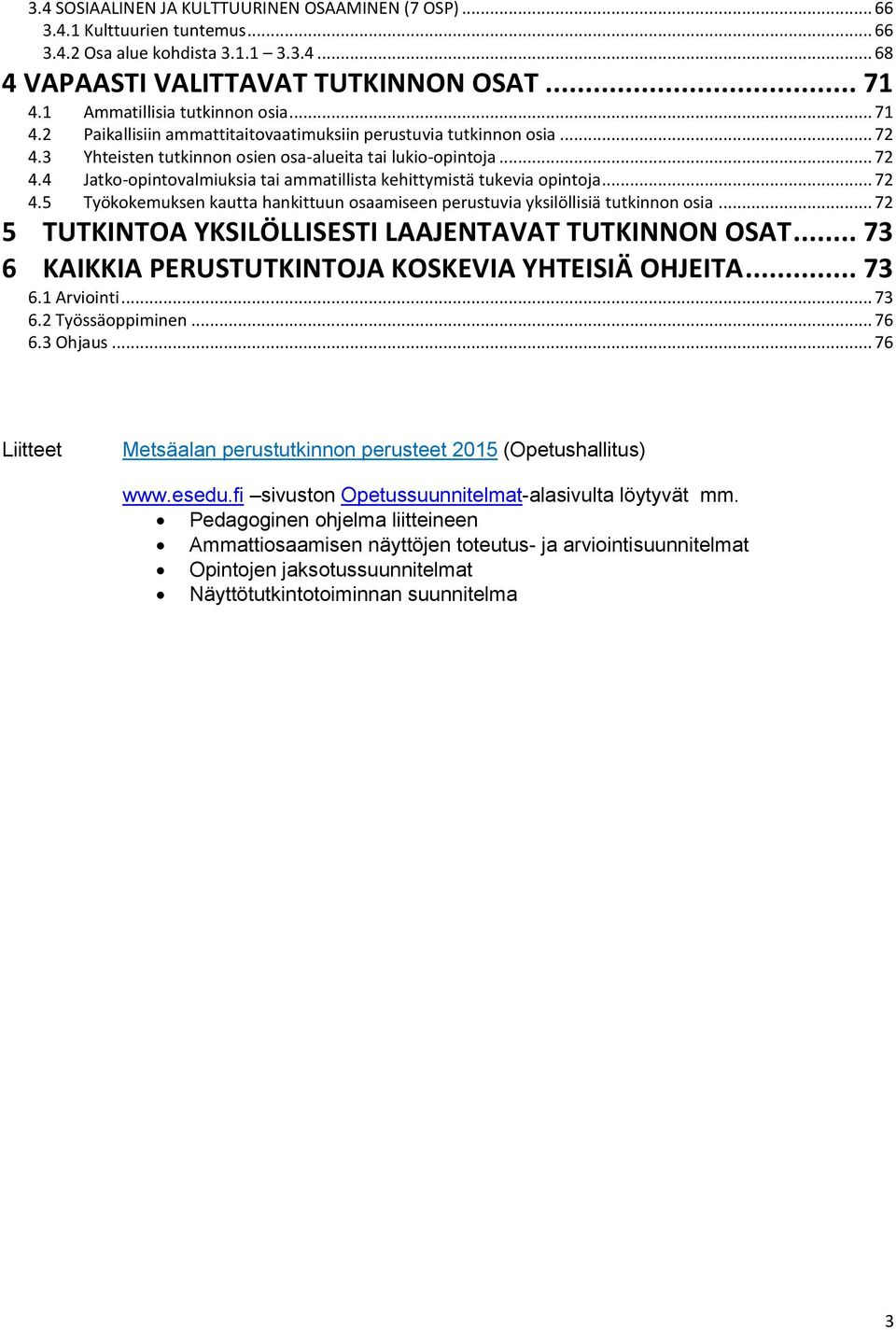 .. 72 4.5 Työkokemuksen kautta hankittuun osaamiseen perustuvia yksilöllisiä tutkinnon osia... 72 5 TUTKINTOA YKSILÖLLISESTI LAAJENTAVAT TUTKINNON OSAT.