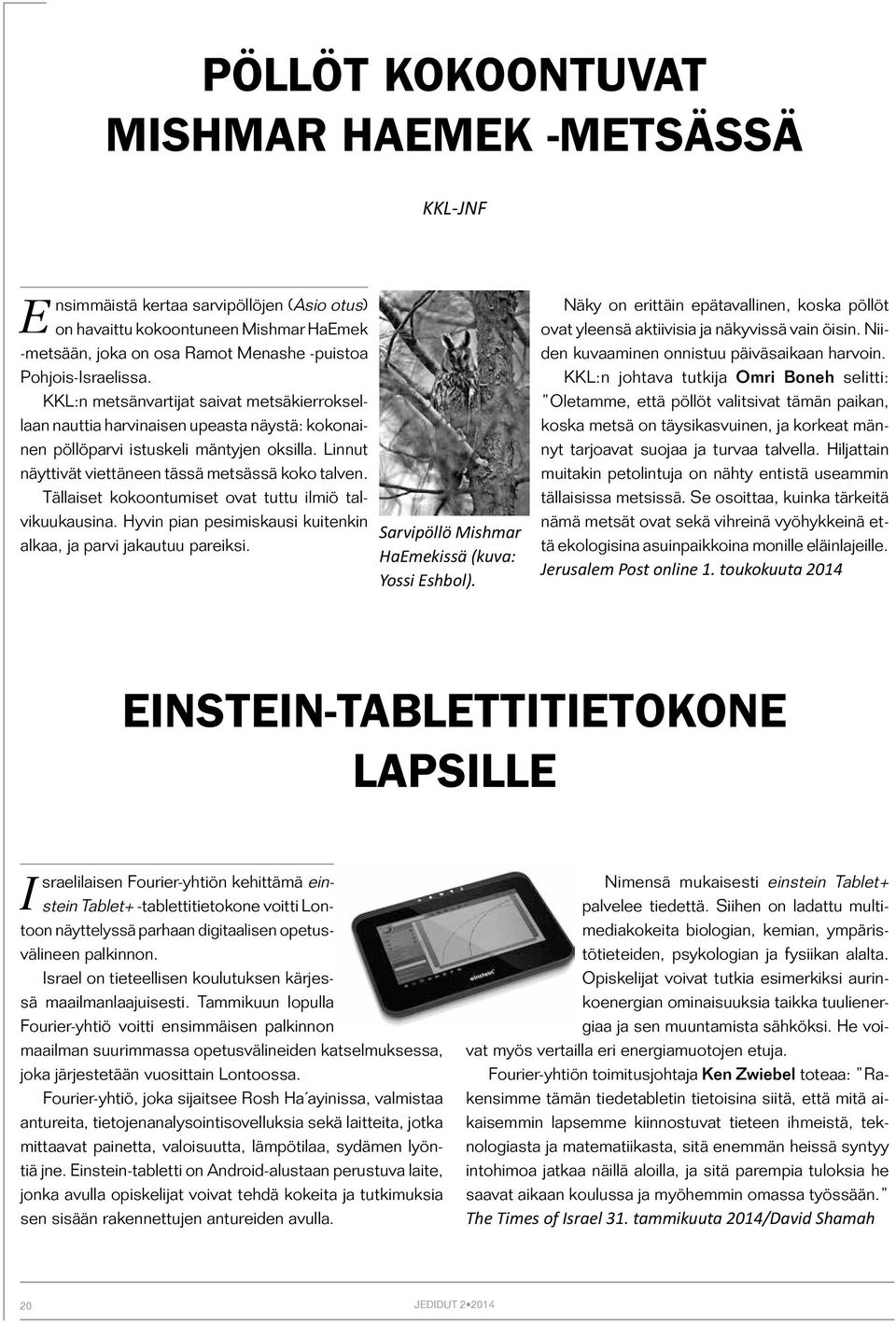 Linnut näyttivät viettäneen tässä metsässä koko talven. Tällaiset kokoontumiset ovat tuttu ilmiö talvikuukausina. Hyvin pian pesimiskausi kuitenkin alkaa, ja parvi jakautuu pareiksi.