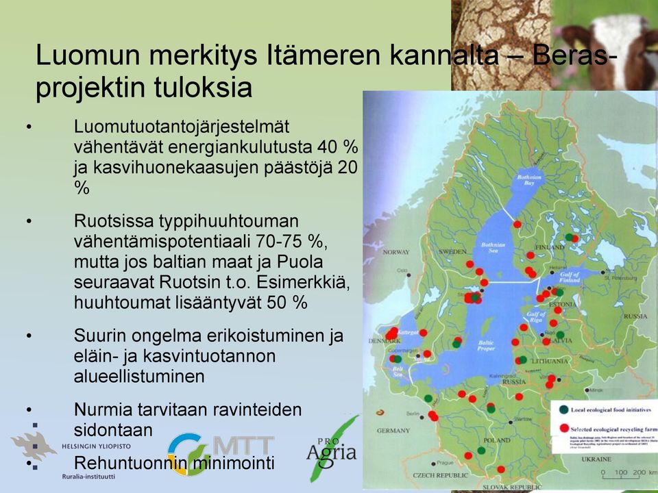 70-75 %, mutta jos